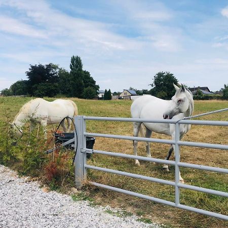 Le Gite De Golette Mettet Bagian luar foto