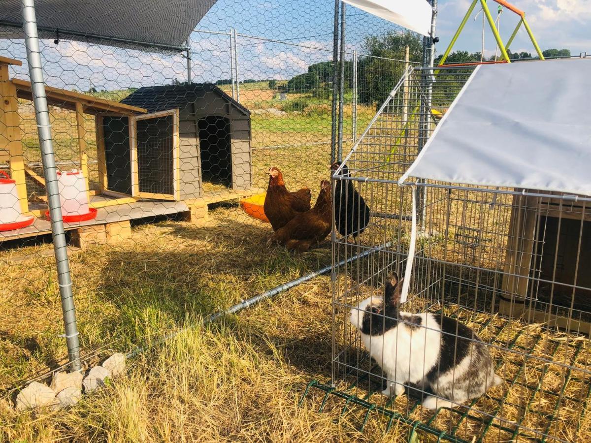 Le Gite De Golette Mettet Bagian luar foto